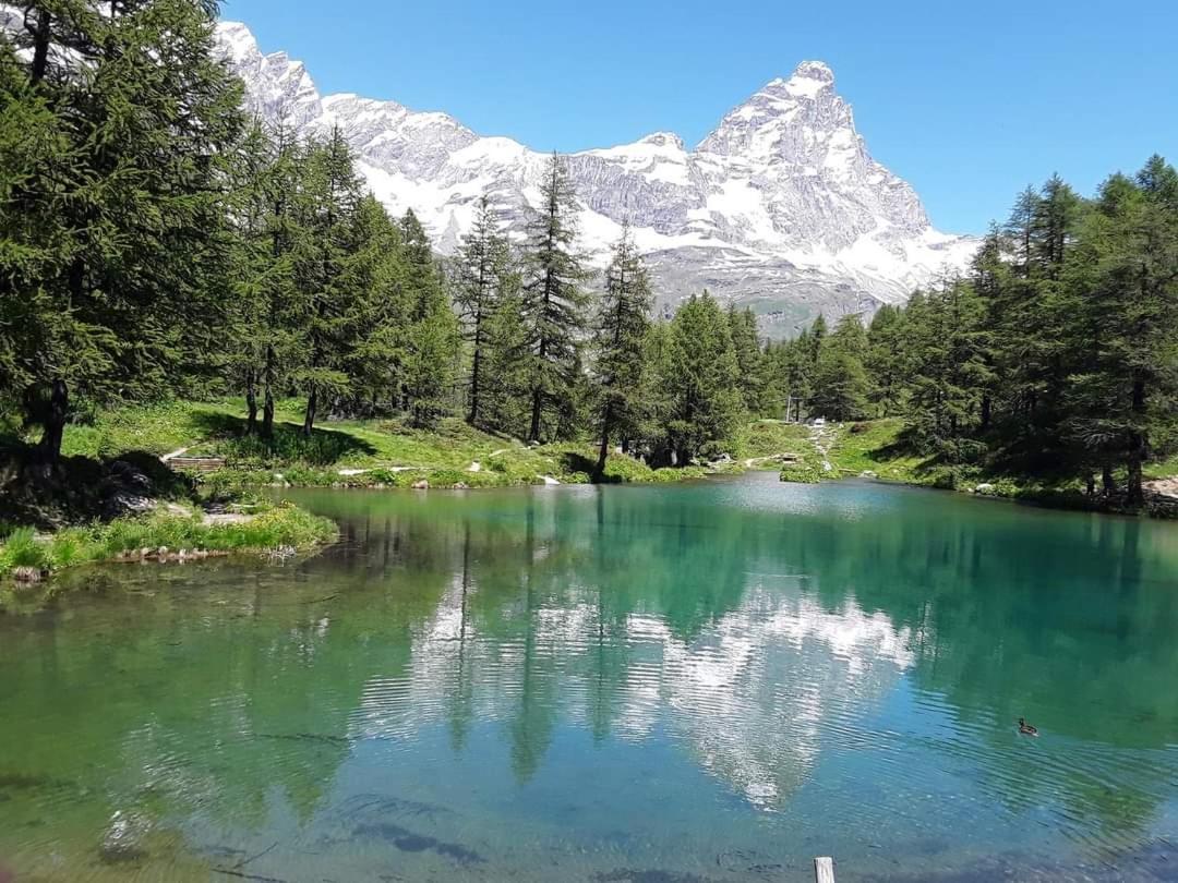 Alfastudio Breuil-Cervinia Exteriör bild